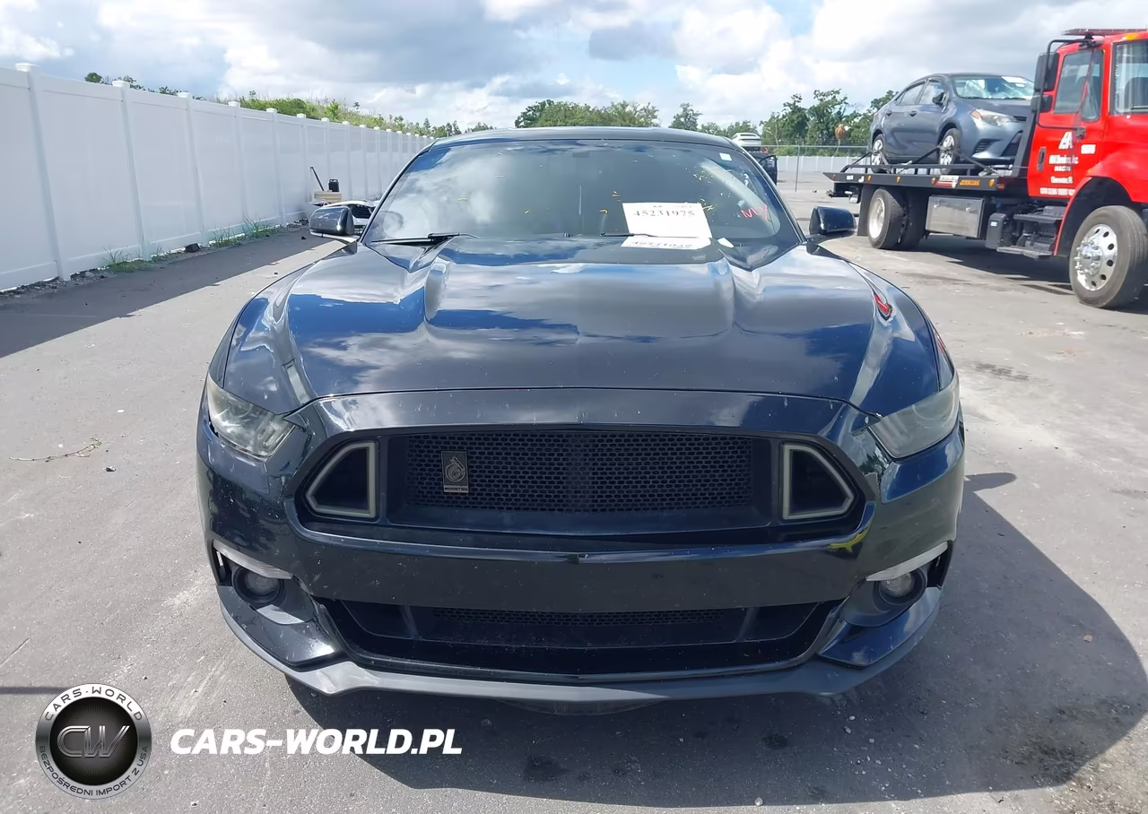 2017 Ford Mustang Ecoboost VIN:1FA6P8TH4H5218176 - 12