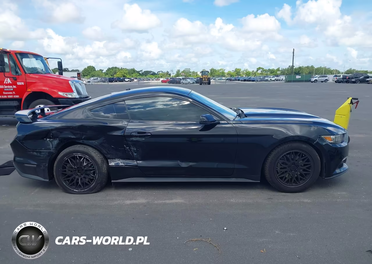 2017 Ford Mustang Ecoboost VIN:1FA6P8TH4H5218176 - 13