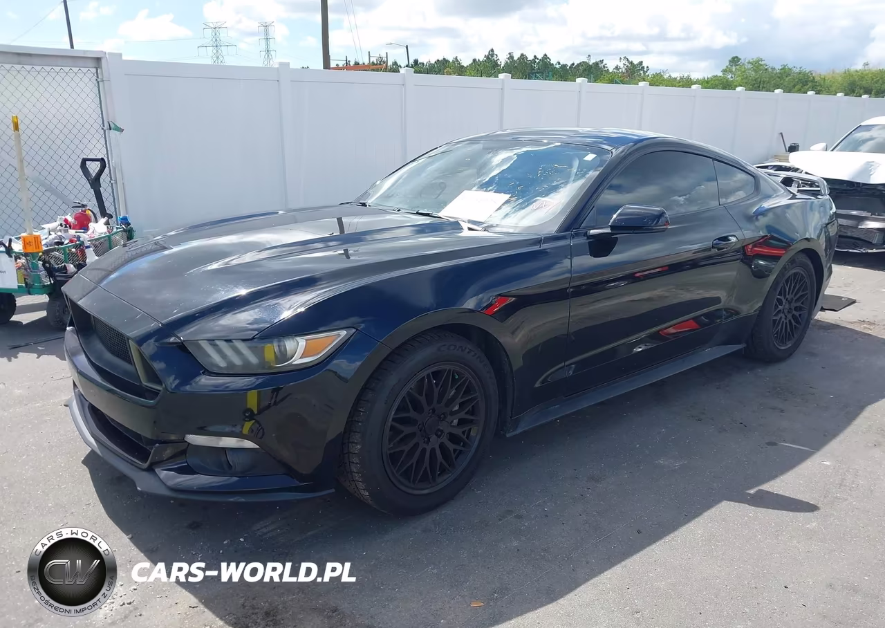2017 Ford Mustang Ecoboost VIN:1FA6P8TH4H5218176 - 2