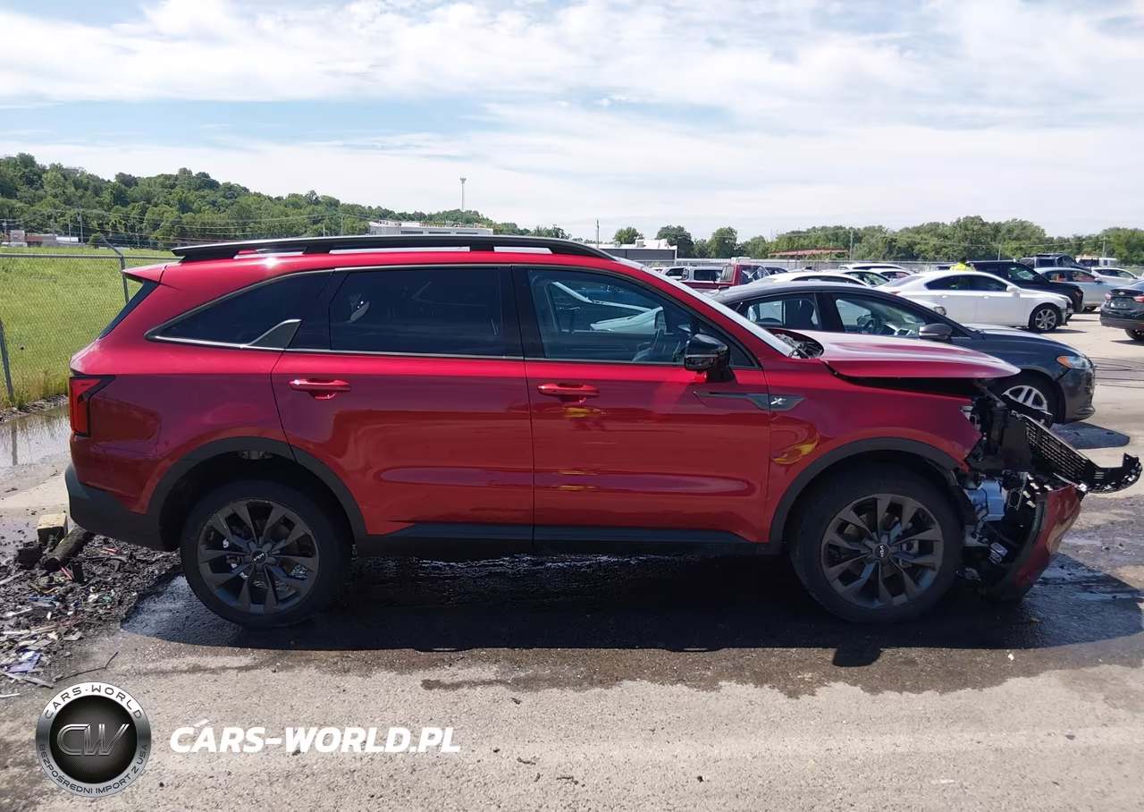 2023 Kia Sorento X-Line Sx Prestige VIN:5XYRKDLF5PG211885 - 13