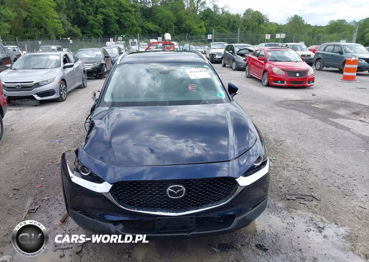 2023 Mazda Cx-30 2.5 S Preferred VIN:3MVDMBCM6PM575449 - 10