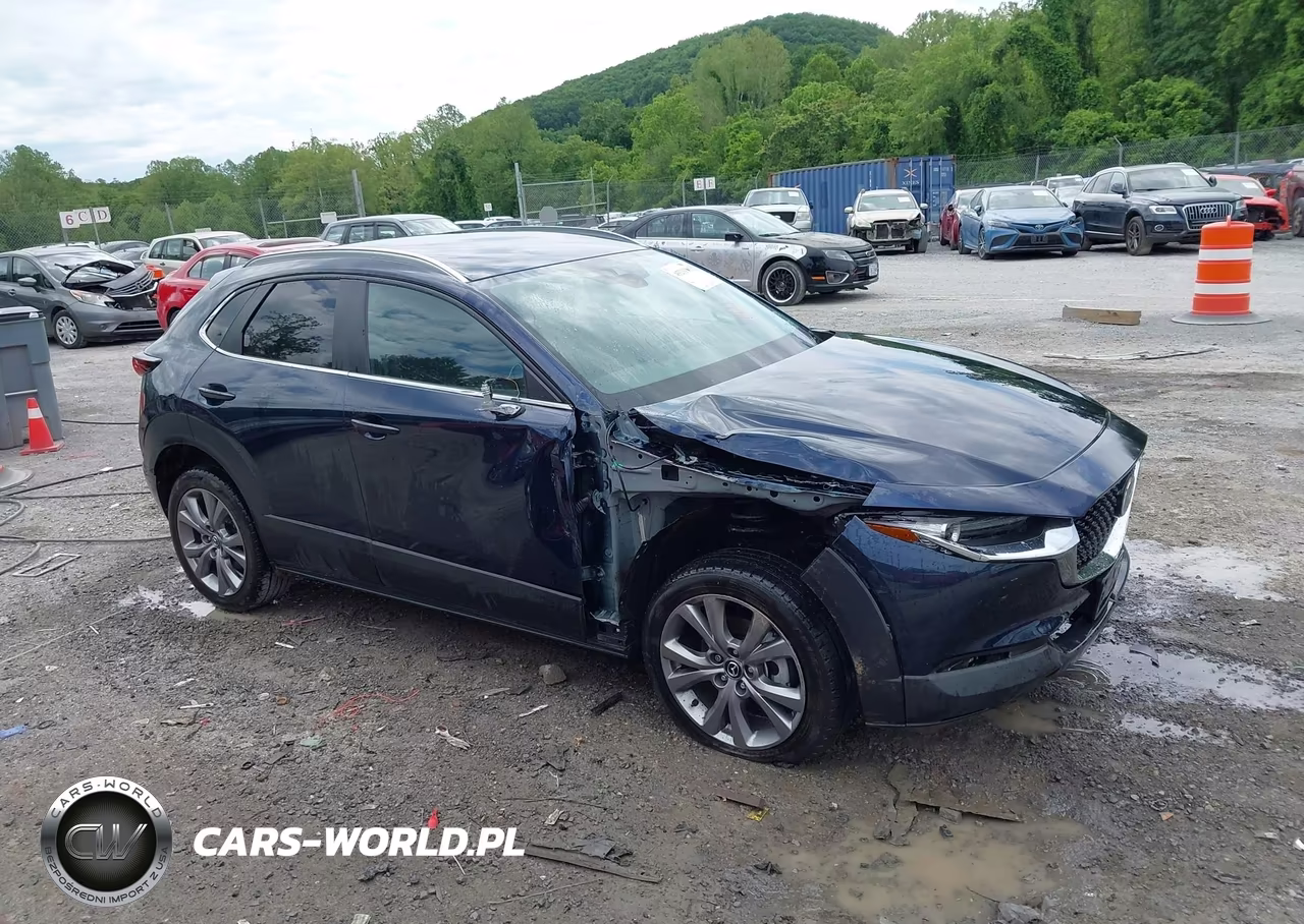2023 Mazda Cx-30 2.5 S Preferred VIN:3MVDMBCM6PM575449 - 11