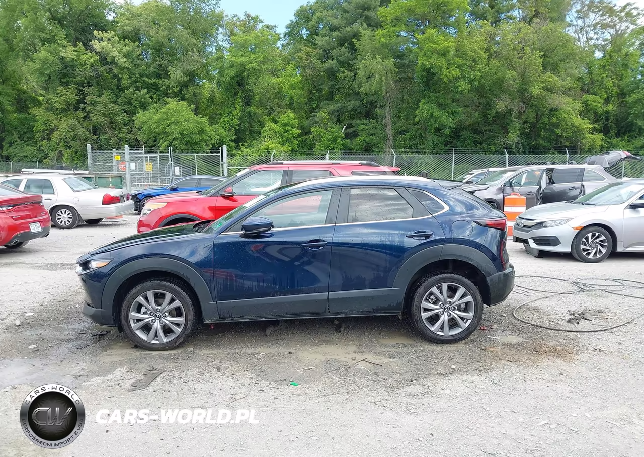 2023 Mazda Cx-30 2.5 S Preferred VIN:3MVDMBCM6PM575449 - 12