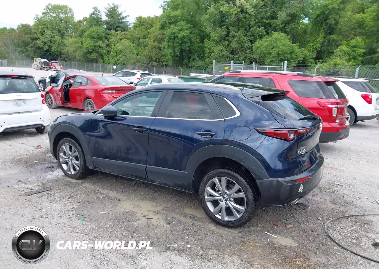 2023 Mazda Cx-30 2.5 S Preferred VIN:3MVDMBCM6PM575449 - 3
