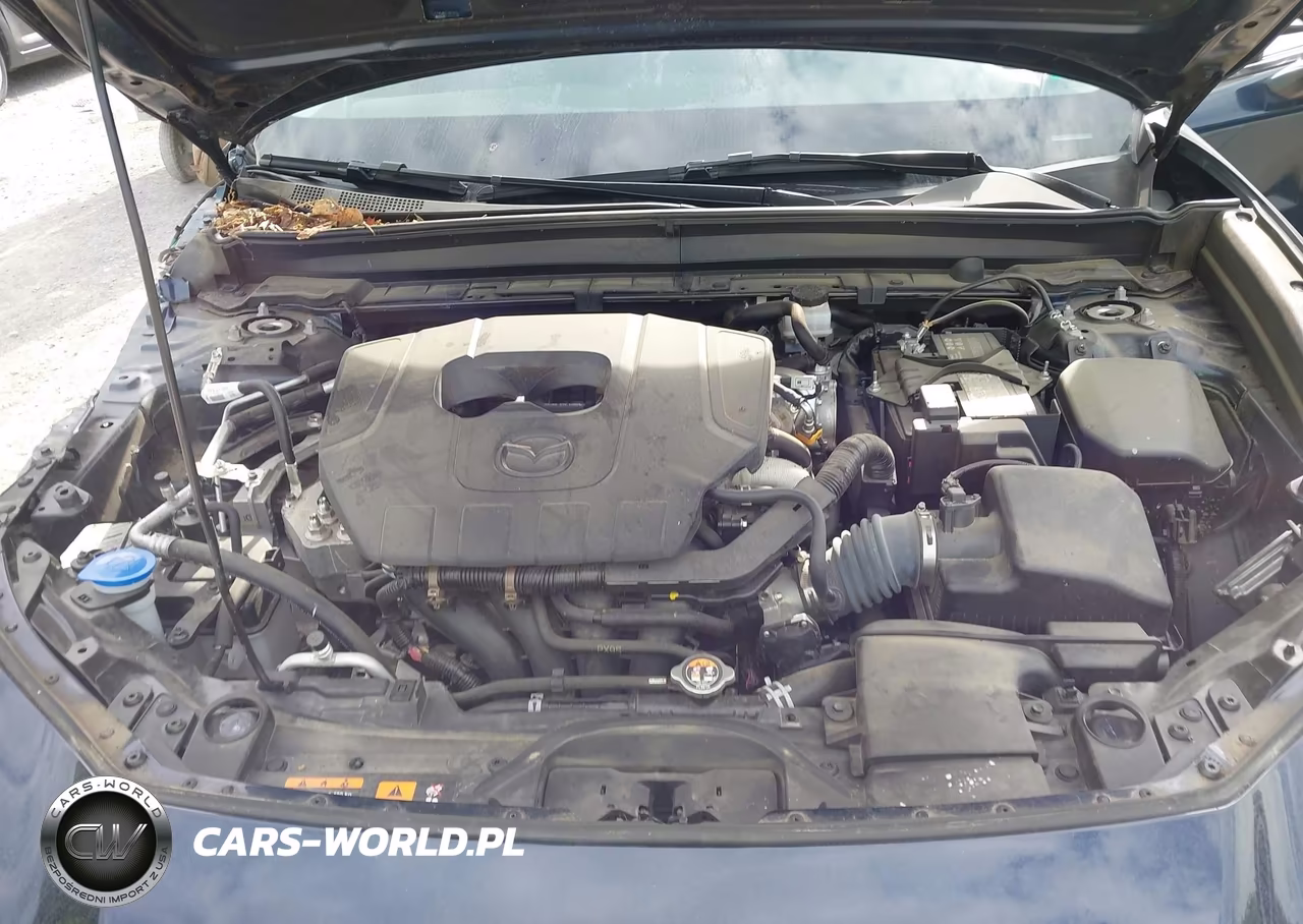 2023 Mazda Cx-30 2.5 S Preferred VIN:3MVDMBCM6PM575449 - 8