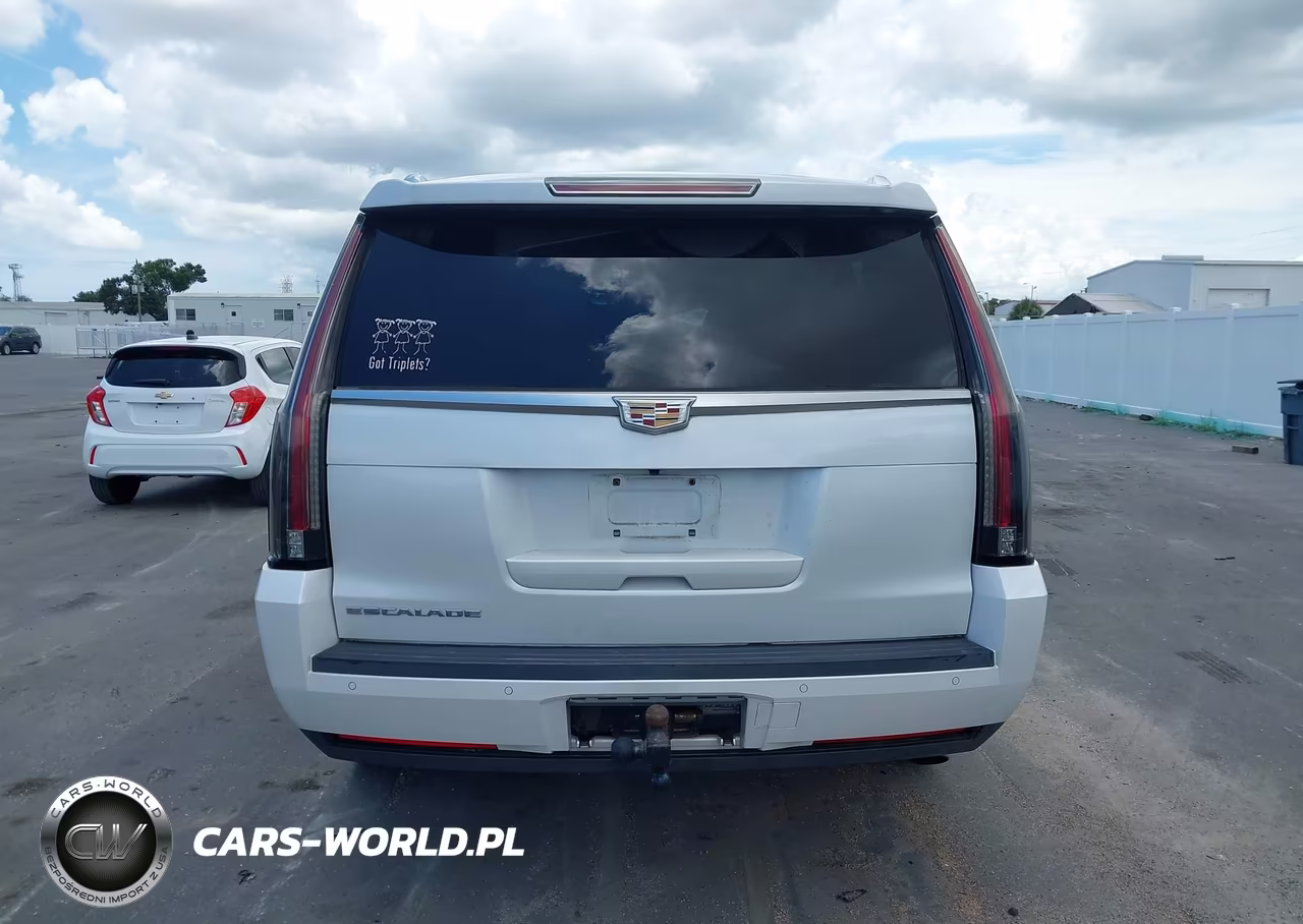 2016 Cadillac Escalade Esv Luxury Collection VIN:1GYS3HKJ8GR361285 - 17