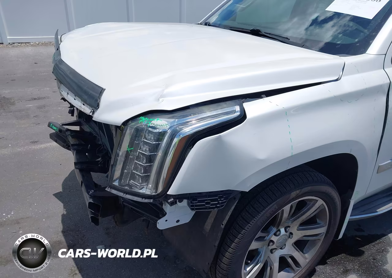 2016 Cadillac Escalade Esv Luxury Collection VIN:1GYS3HKJ8GR361285 - 19