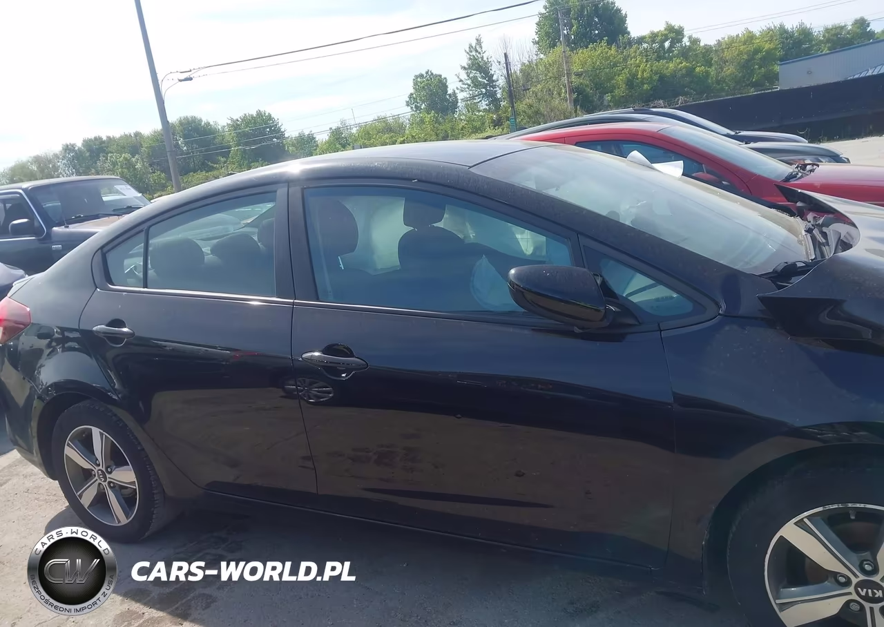 2018 Kia Forte S VIN:3KPFL4A74JE173503 - 13