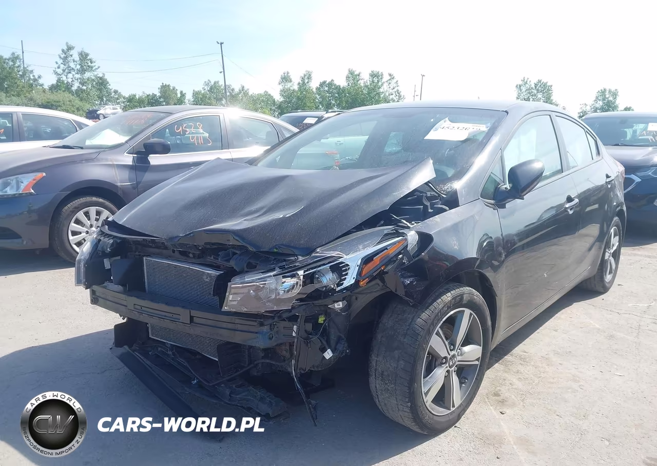 2018 Kia Forte S VIN:3KPFL4A74JE173503 - 2