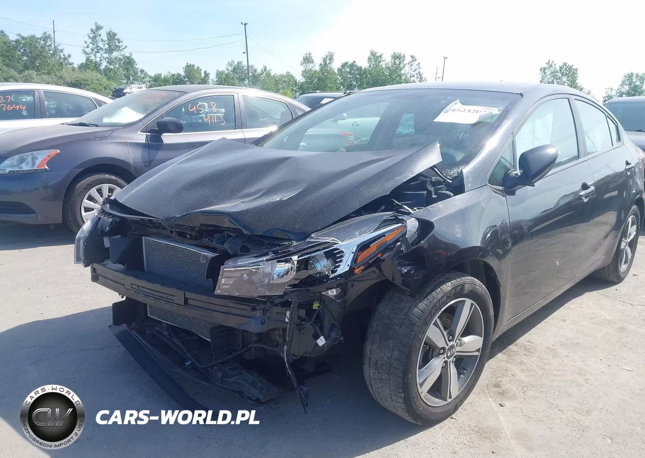 2018 Kia Forte S VIN:3KPFL4A74JE173503 - 6