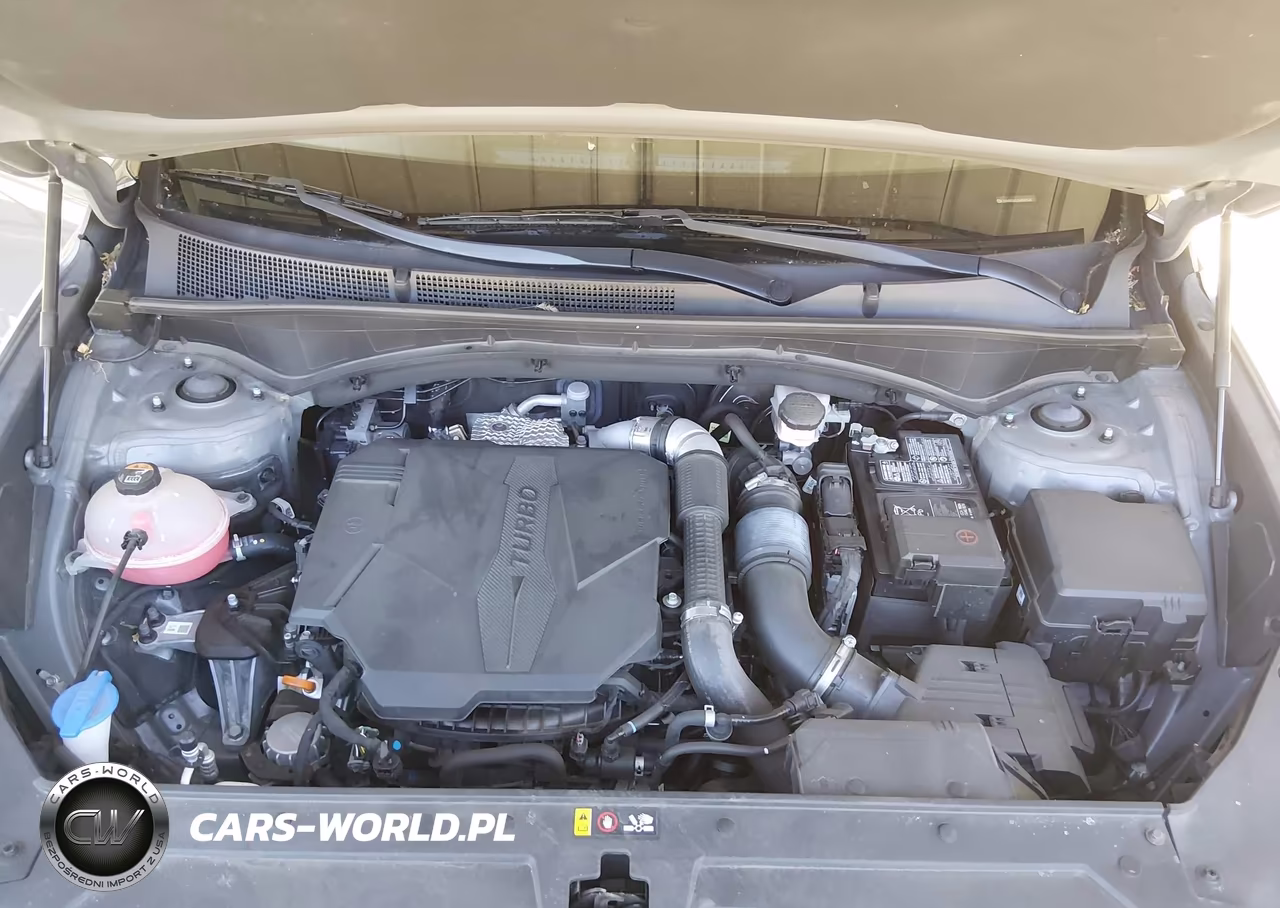 2021 Hyundai Santa Fe Limited VIN:5NMS4DAL6MH343544 - 10