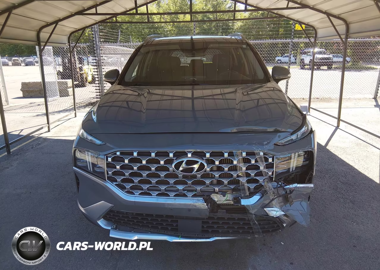 2021 Hyundai Santa Fe Limited VIN:5NMS4DAL6MH343544 - 13
