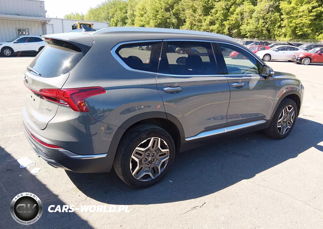 2021 Hyundai Santa Fe Limited VIN:5NMS4DAL6MH343544 - 4