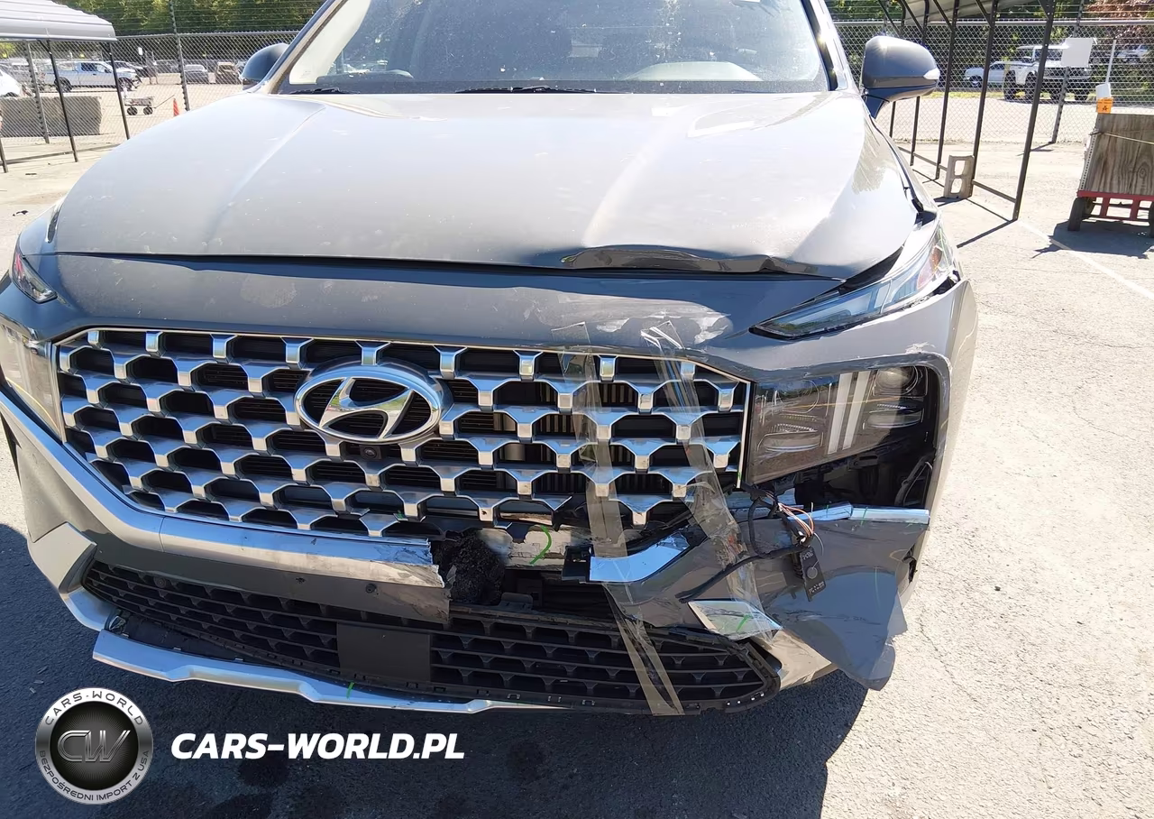 2021 Hyundai Santa Fe Limited VIN:5NMS4DAL6MH343544 - 6