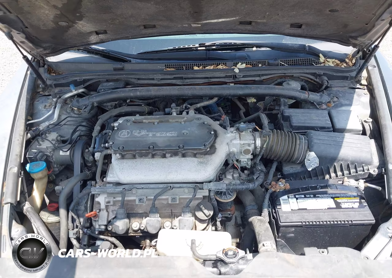 2004 Acura Tl VIN:19UUA66284A033128 - 10
