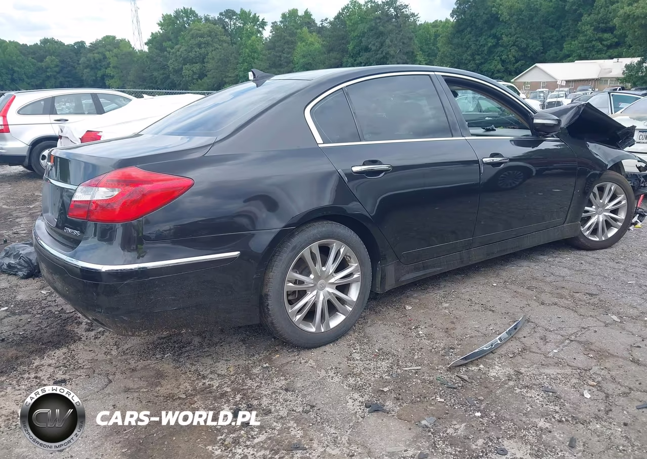 2014 Hyundai Genesis 3.8 VIN:KMHGC4DD0EU264308 - 4