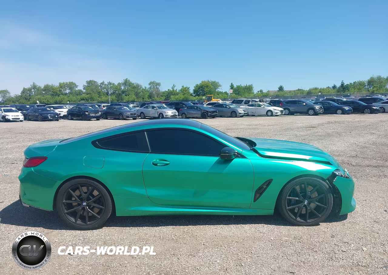 2019 BMW M850I xDrive VIN:WBABC4C50KBJ35885 - 13
