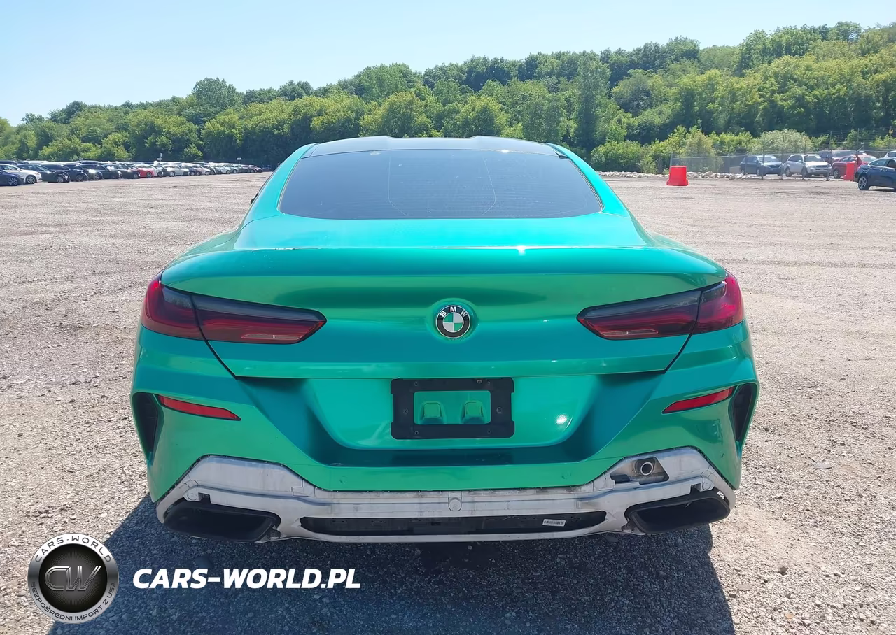 2019 BMW M850I xDrive VIN:WBABC4C50KBJ35885 - 16