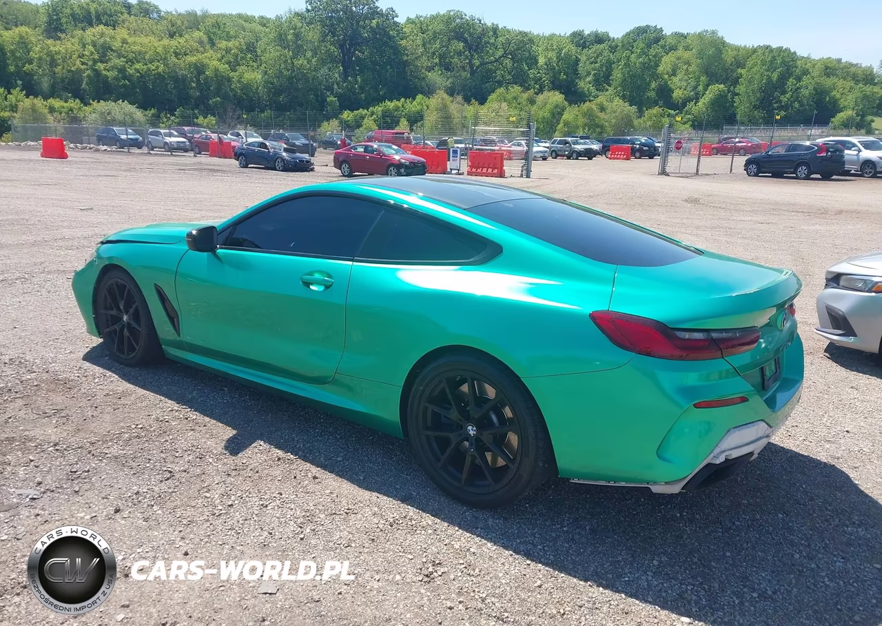 2019 BMW M850I xDrive VIN:WBABC4C50KBJ35885 - 3