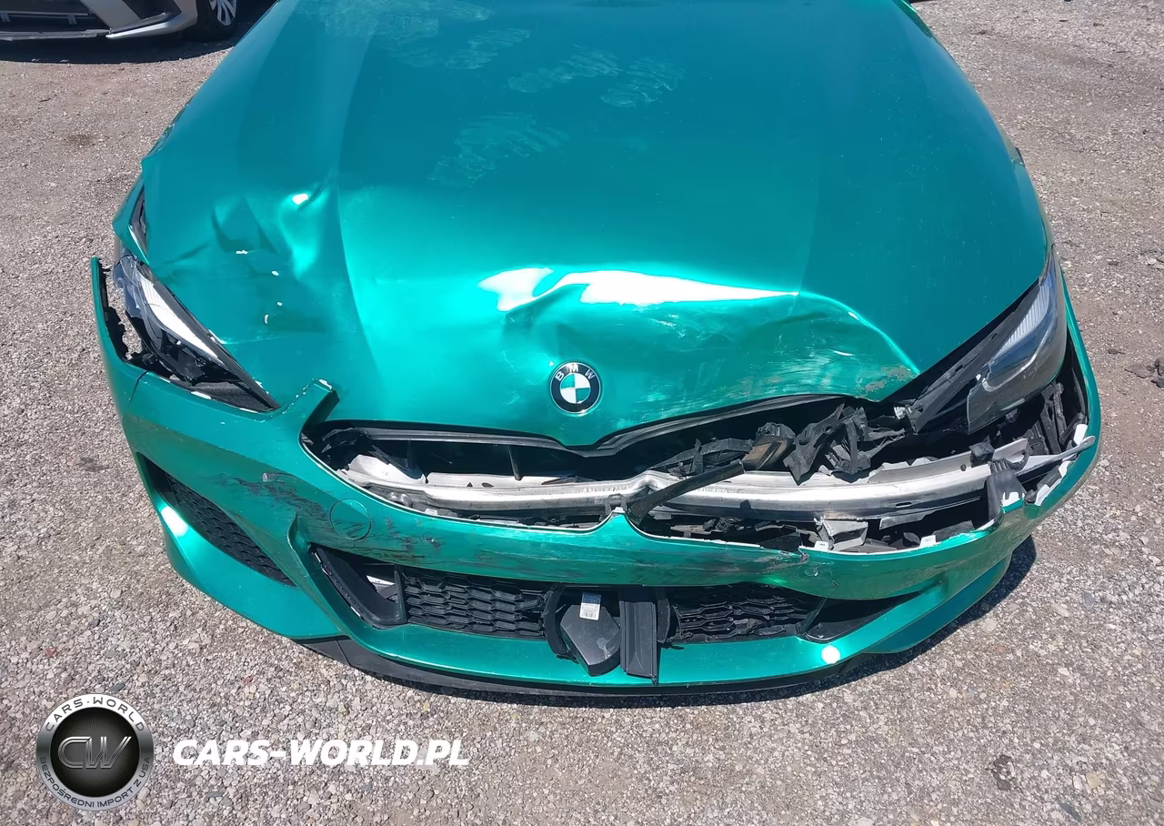 2019 BMW M850I xDrive VIN:WBABC4C50KBJ35885 - 6