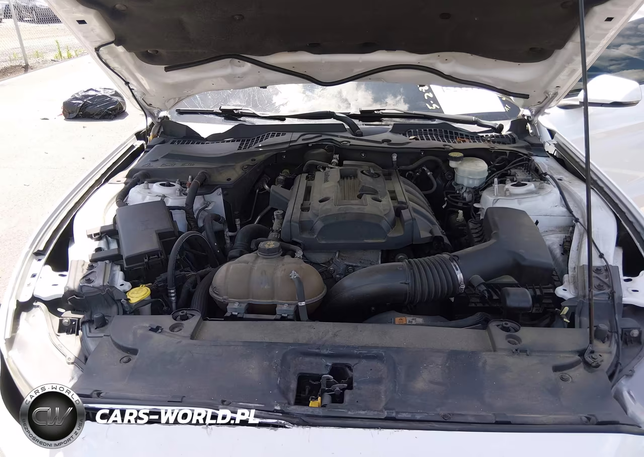 2015 Ford Mustang Ecoboost VIN:1FA6P8TH2F5365674 - 10