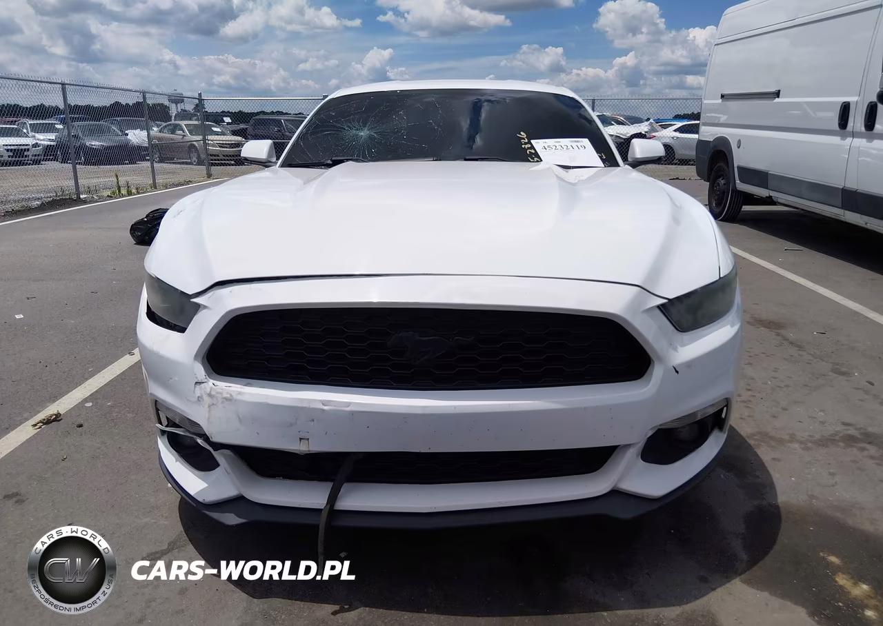 2015 Ford Mustang Ecoboost VIN:1FA6P8TH2F5365674 - 12