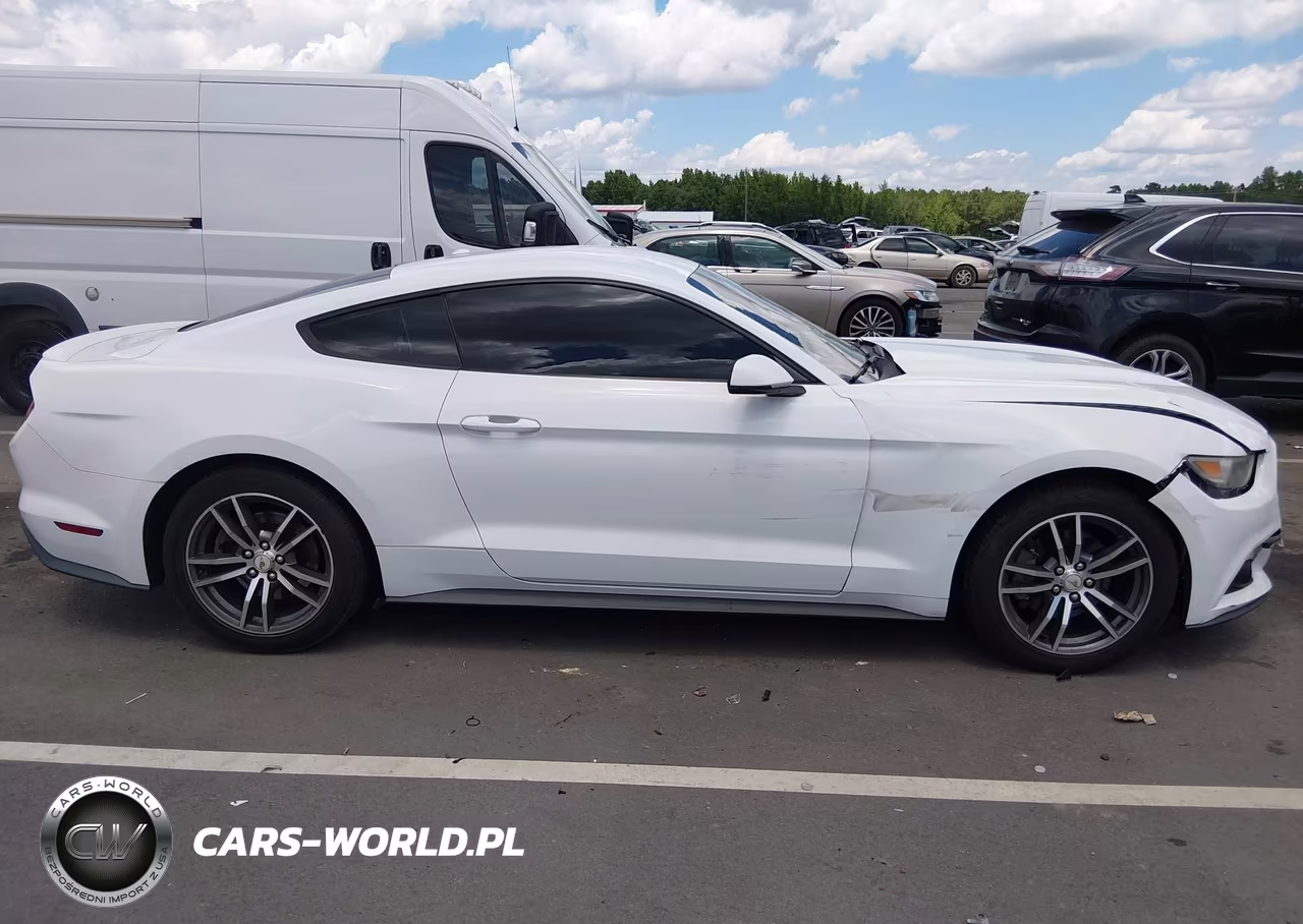 2015 Ford Mustang Ecoboost VIN:1FA6P8TH2F5365674 - 13