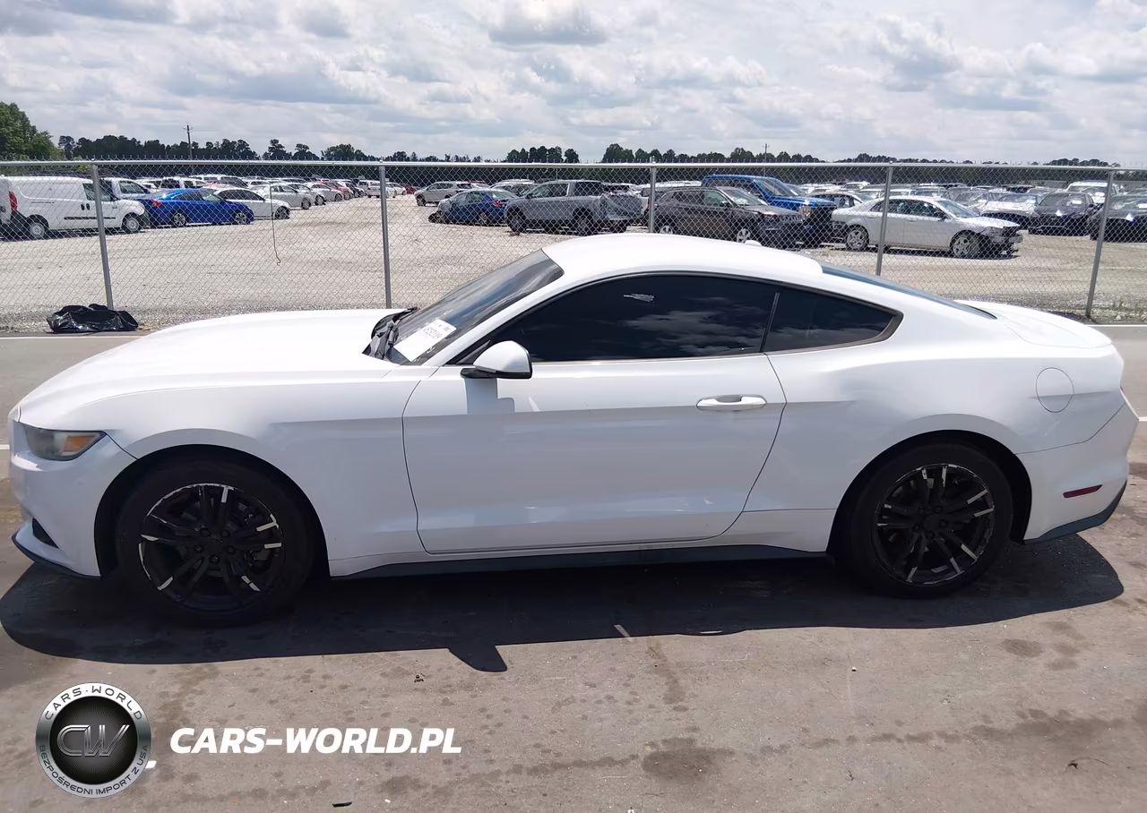 2015 Ford Mustang Ecoboost VIN:1FA6P8TH2F5365674 - 14
