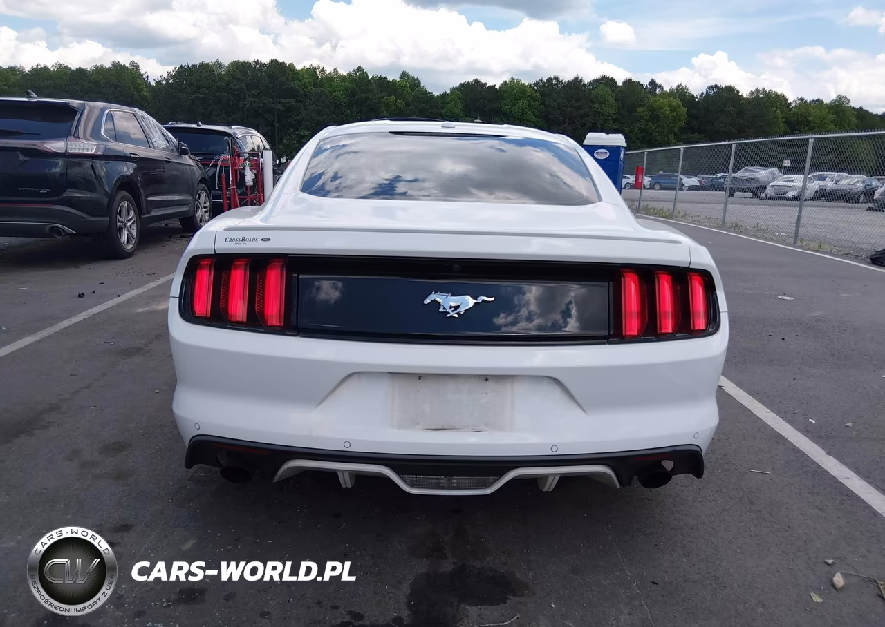 2015 Ford Mustang Ecoboost VIN:1FA6P8TH2F5365674 - 16