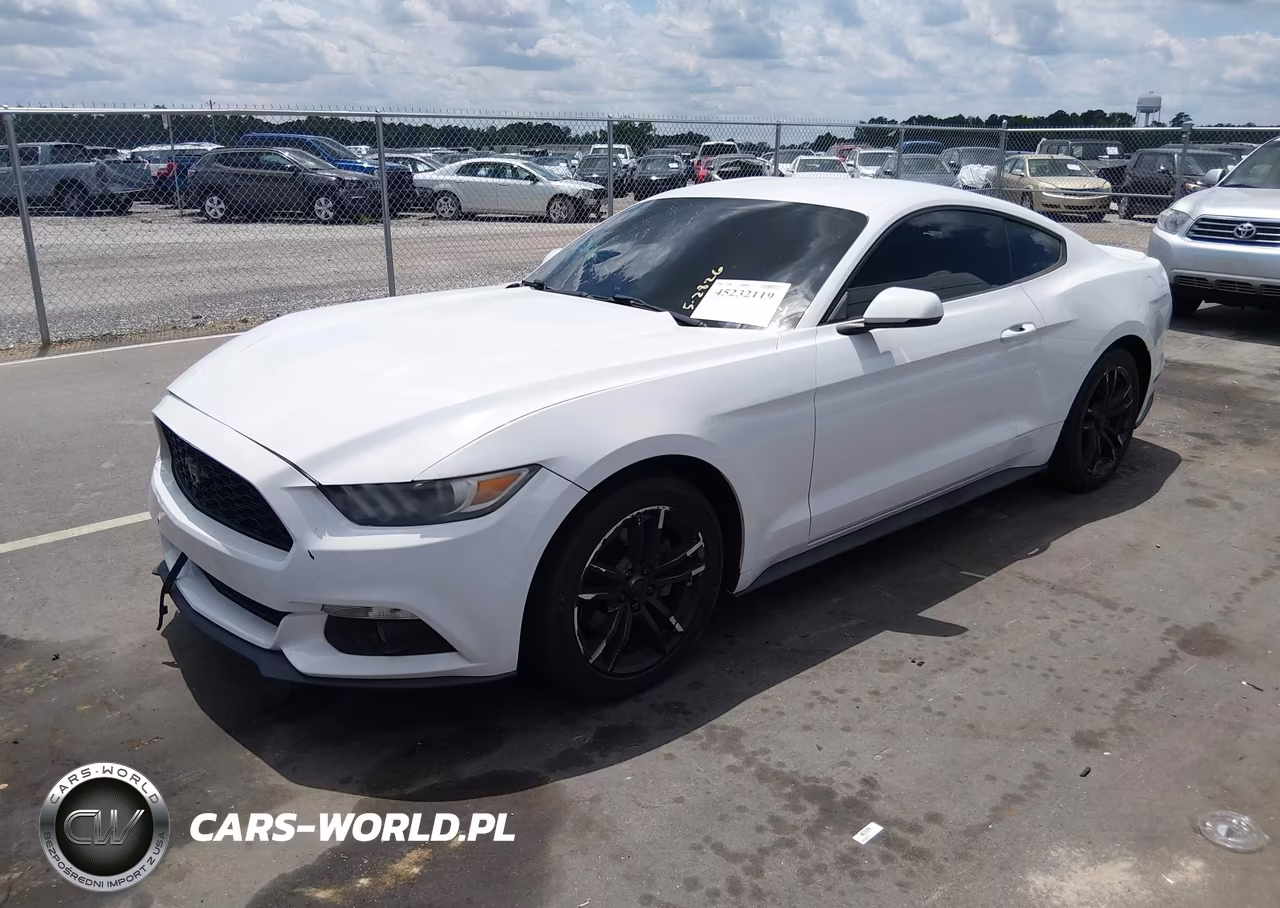 2015 Ford Mustang Ecoboost VIN:1FA6P8TH2F5365674 - 2
