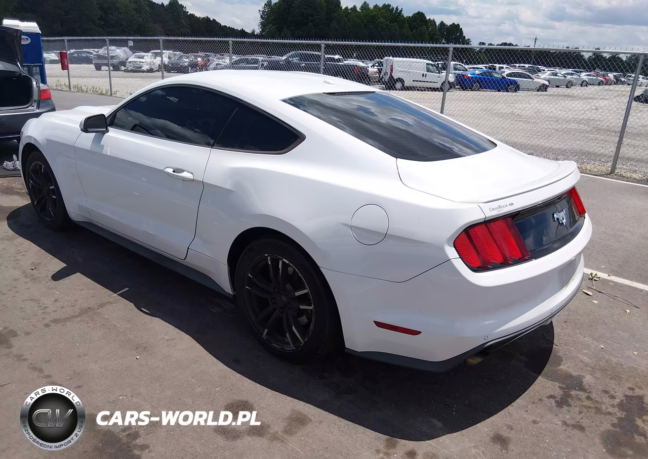 2015 Ford Mustang Ecoboost VIN:1FA6P8TH2F5365674 - 3