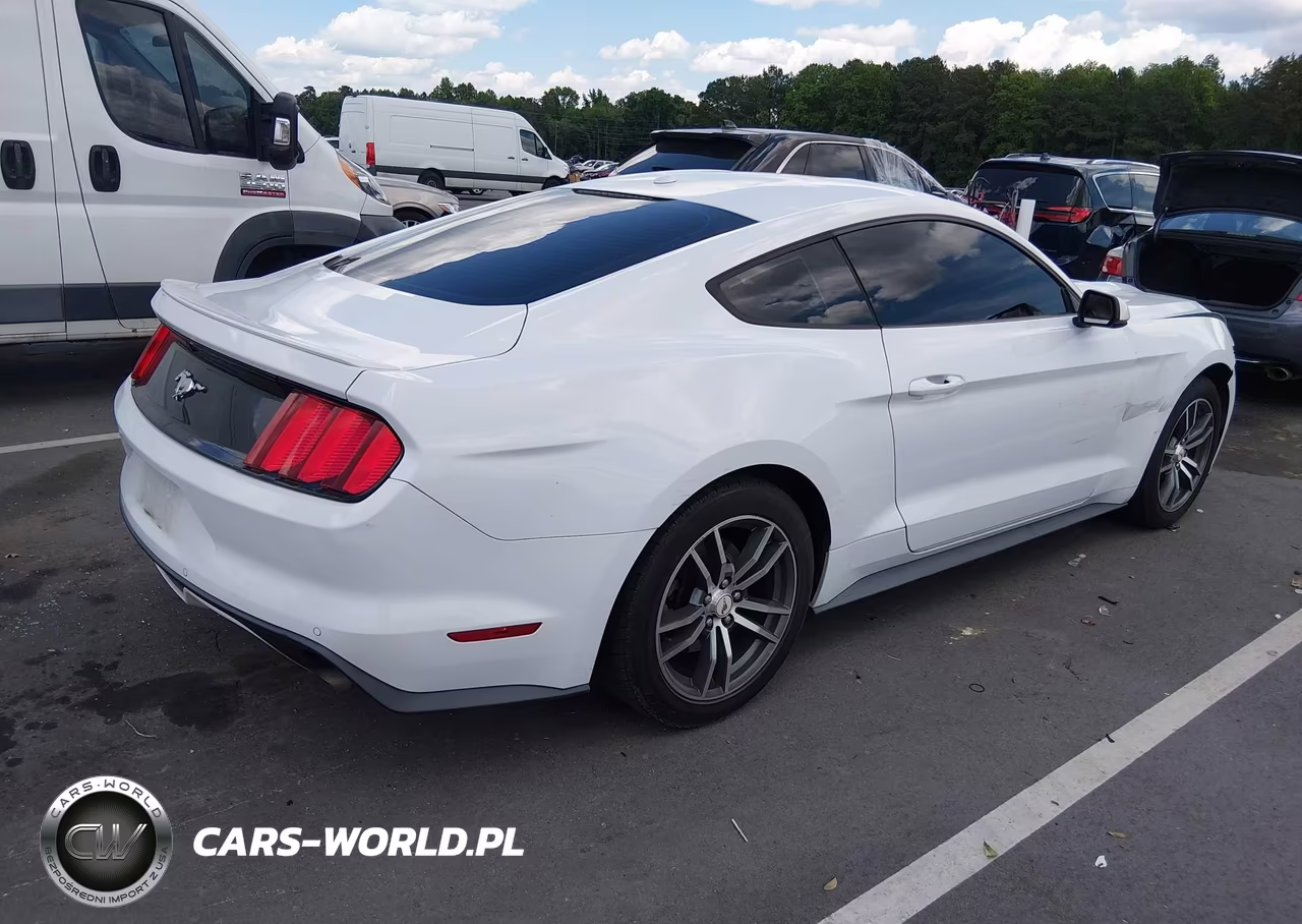 2015 Ford Mustang Ecoboost VIN:1FA6P8TH2F5365674 - 4