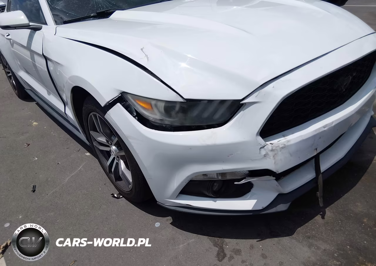 2015 Ford Mustang Ecoboost VIN:1FA6P8TH2F5365674 - 6