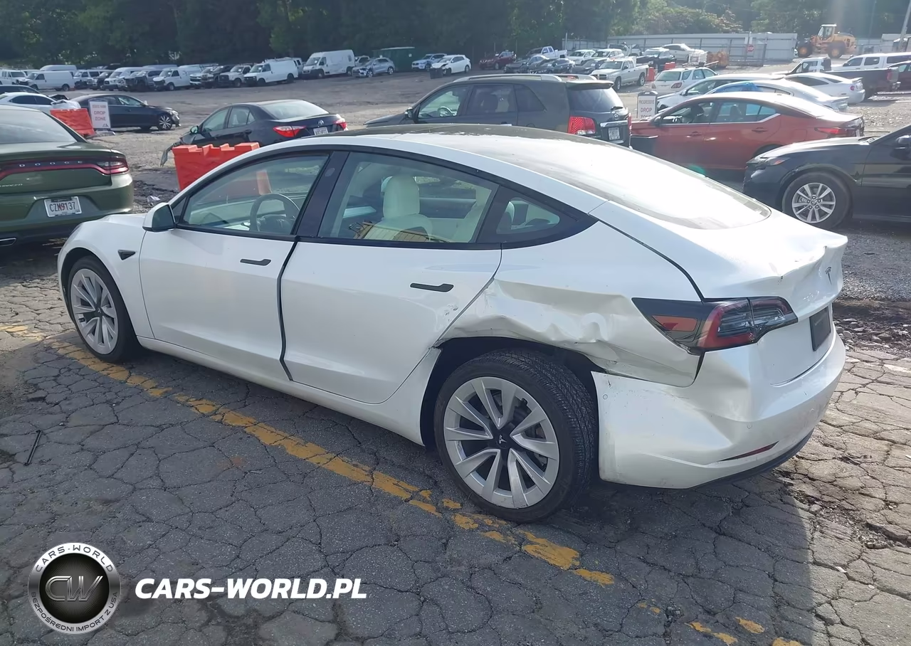 2021 Tesla Model 3 Long Range VIN:5YJ3E1EB2MF903417 - 3