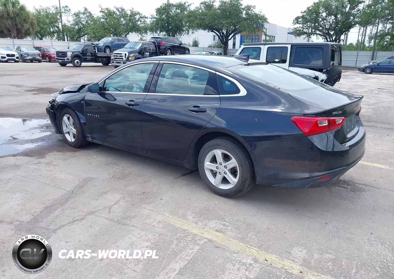 2023 Chevrolet Malibu Fwd 1Lt VIN:1G1ZD5ST7PF169657 - 3