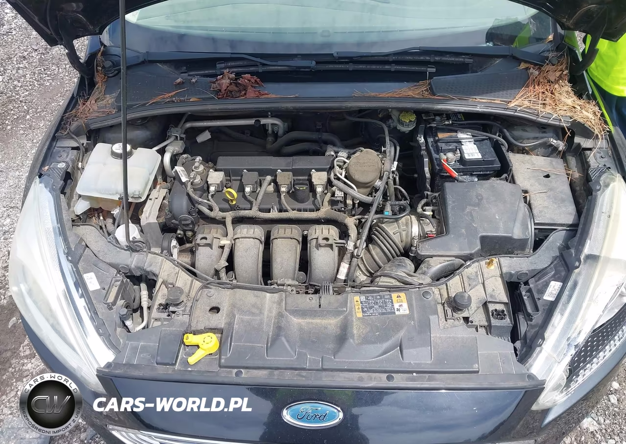 2015 Ford Focus Titanium VIN:1FADP3N23FL345108 - 10
