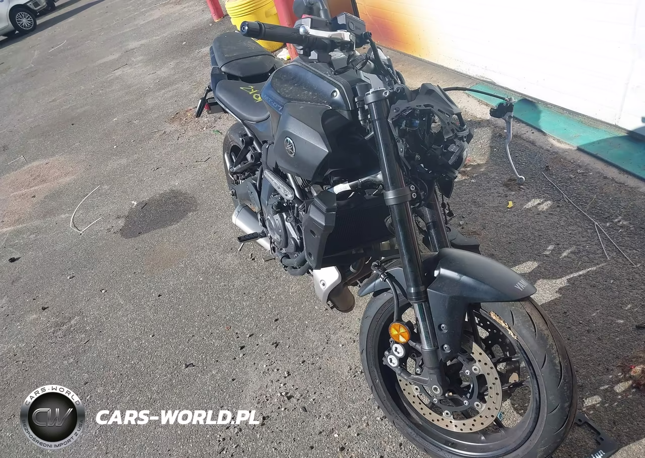 2025 Yamaha Mtn690