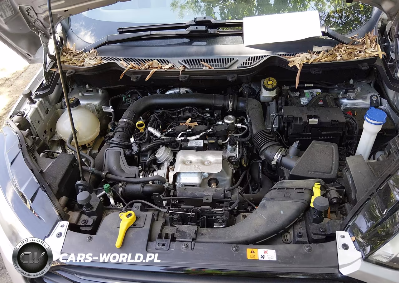 2019 Ford Ecosport S VIN:MAJ3S2FEXKC306250 - 10
