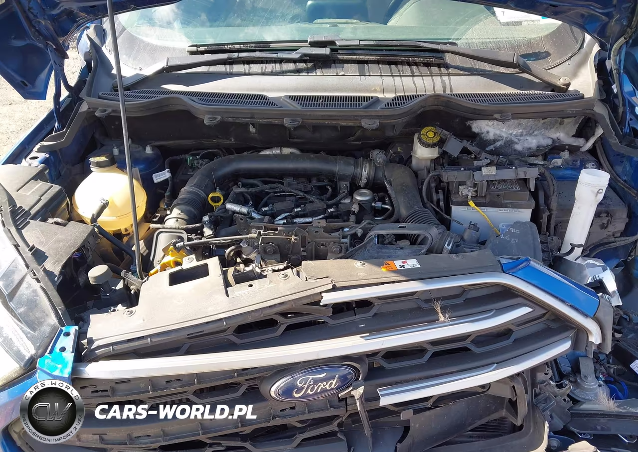 2018 Ford Ecosport Se VIN:MAJ3P1TE2JC242168 - 10