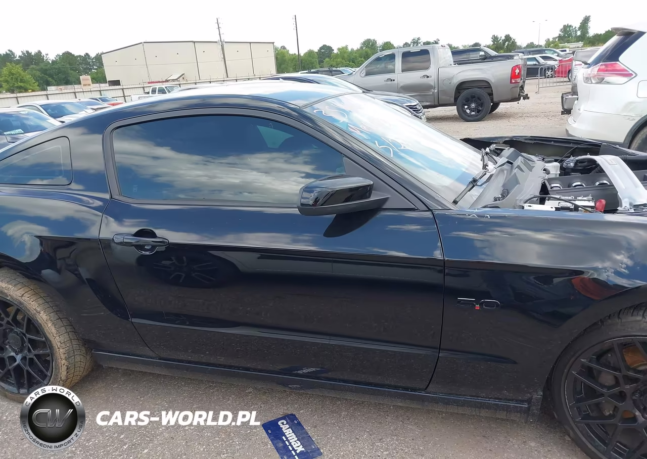 2014 Ford Mustang Gt Premium VIN:1ZVBP8CF1E5283549 - 14