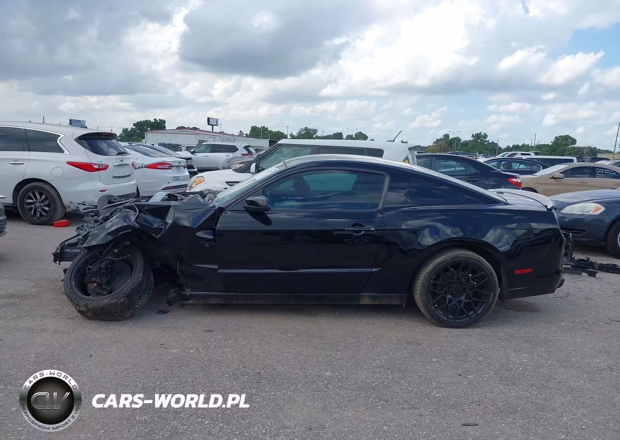 2014 Ford Mustang Gt Premium VIN:1ZVBP8CF1E5283549 - 15