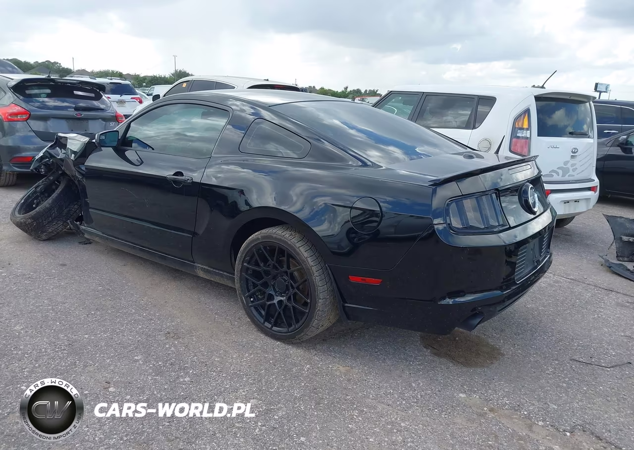 2014 Ford Mustang Gt Premium VIN:1ZVBP8CF1E5283549 - 3