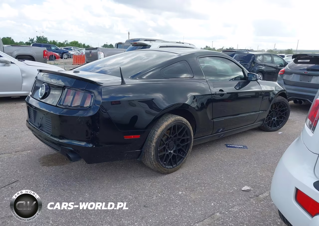 2014 Ford Mustang Gt Premium VIN:1ZVBP8CF1E5283549 - 4