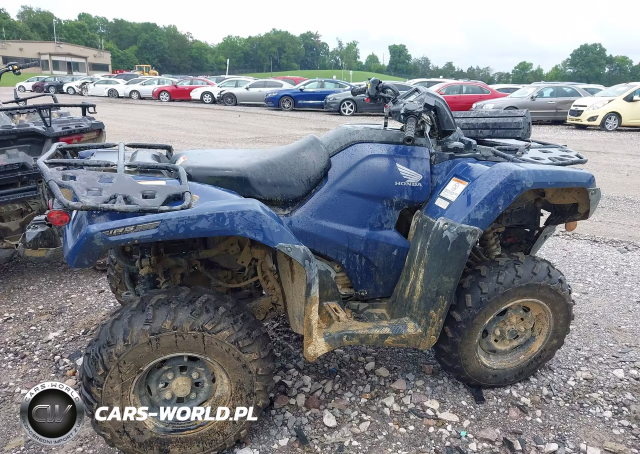 2025 Honda Trx420 Fa VIN:1HFTE4721SJ101533 - 12