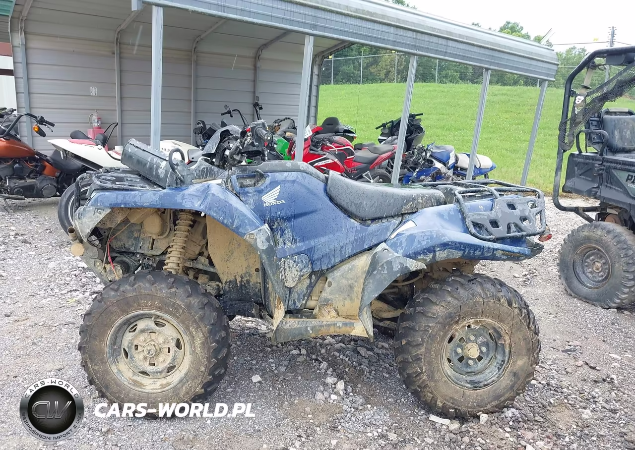 2025 Honda Trx420 Fa VIN:1HFTE4721SJ101533 - 13