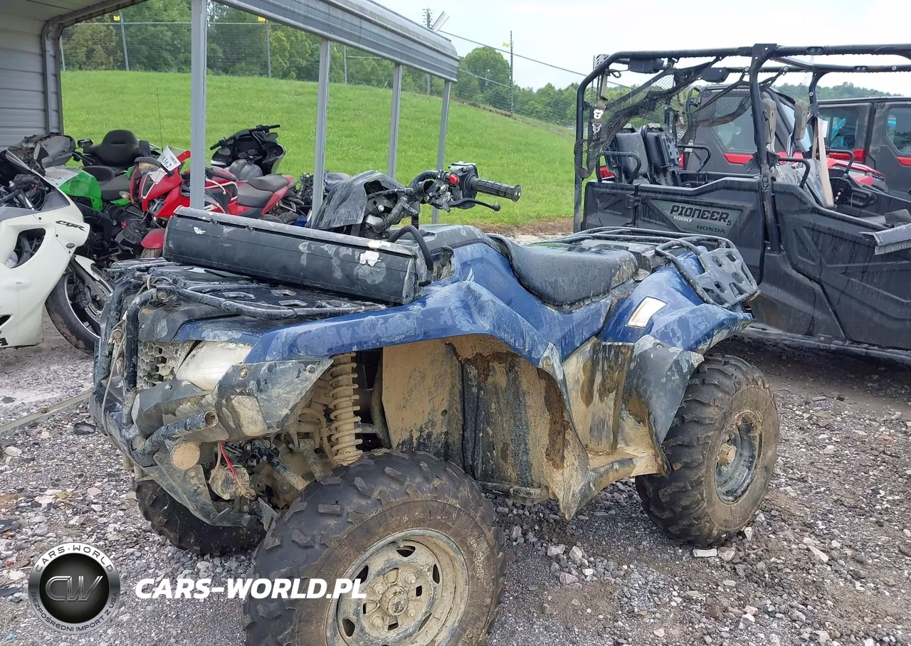 2025 Honda Trx420 Fa VIN:1HFTE4721SJ101533 - 2