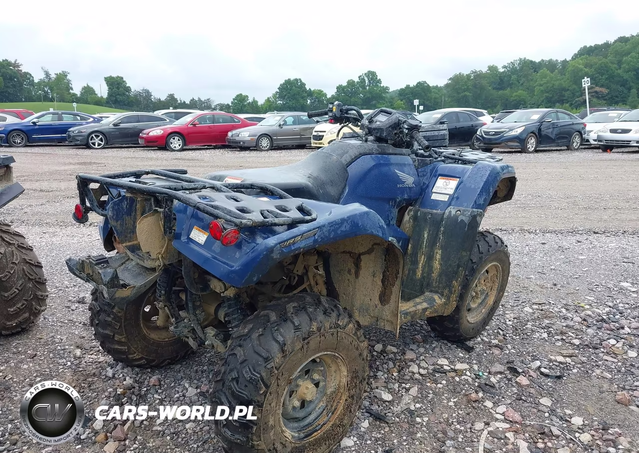 2025 Honda Trx420 Fa VIN:1HFTE4721SJ101533 - 4