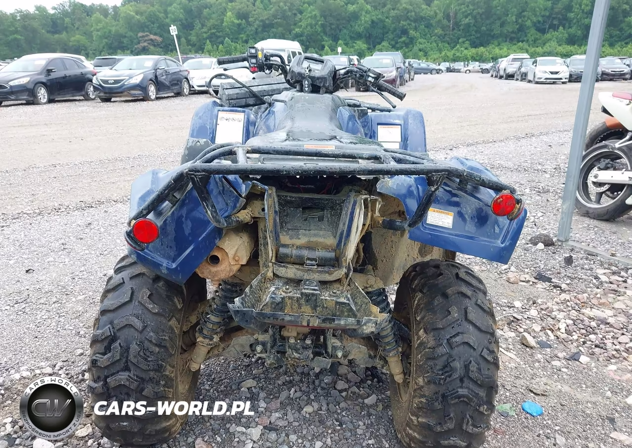 2025 Honda Trx420 Fa VIN:1HFTE4721SJ101533 - 6