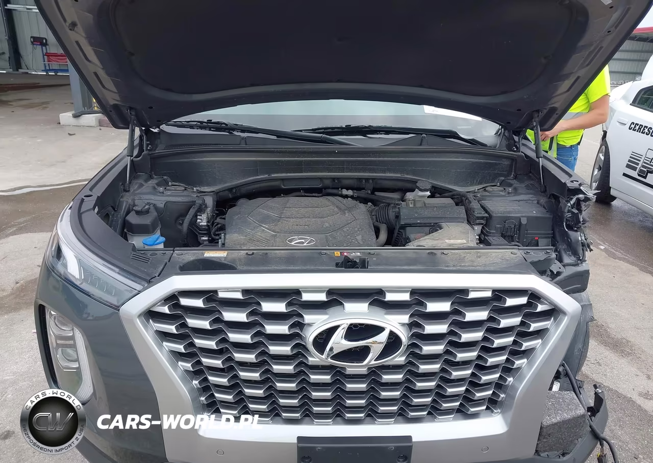 2021 Hyundai Palisade Sel VIN:KM8R4DHE5MU191167 - 10