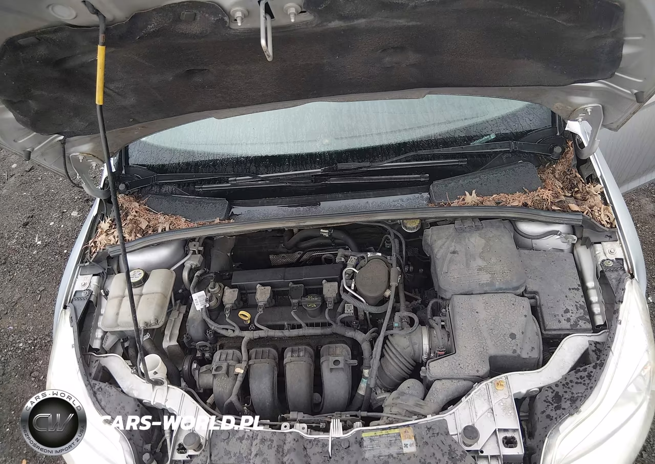 2012 Ford Focus Sel VIN:1FAHP3H23CL387948 - 10